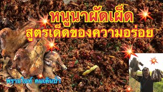 ผัดเผ็ดหนูนา สูตรเด็ดของความอร่อย/พรานไนท์ คนเดินป่า