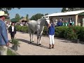 clara cargile u0026 white indian najyrc2016