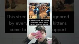 This Street Singer Was Ignored By Everyone, Then 4 Kittens Came To Show Their Support.