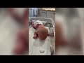 newborn baby lifts her head and crawls at just 3 days old