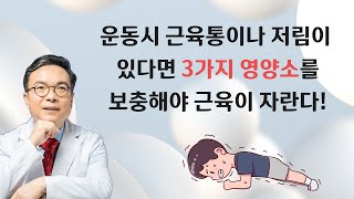 근육 생성 3대 영양소. 근육운동시 저림이나 근육통이 있다면 이 3가지 영양소를 섭취해야 젖산이 쌓이지 않고 근육이 제대로 자란다.