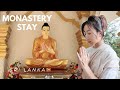 [eng sub] living in a Sri Lanka monastery for 3 days , my first temple stay experience