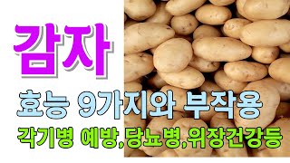 감자의 효능 9가지와 부작용/ \