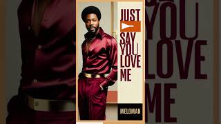 Meloman - Just Say You Love Me (80s Funk)