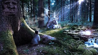 432 Hz Celtic Music  The Most Magical Fairy Place You'll Ever Visit