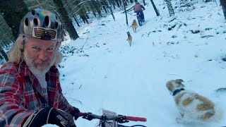 Chasing Dharma and a tail of dogs down snowy MTB trails