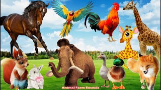 Cute Little Farm Animal Sounds: Fox, Duck, Chicken, Horse, Squirrel, Mammoth - Animal Paradise
