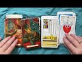 tarot deck review everyday witch tarot