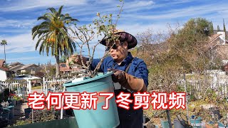 看完这期你就知道冬剪不重要，但还是要剪！重要的课代表请留言～园艺篇727