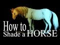 How to Shade a Horse