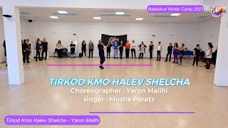 Tirkod Kmo Halev Shelcha - Yaron Malihi / תרקוד כמו הלב שלך - ירון מליחי