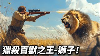 獵殺百獸之王-獅子！#狮子 #狩獵#非洲大草原#薩瓦納