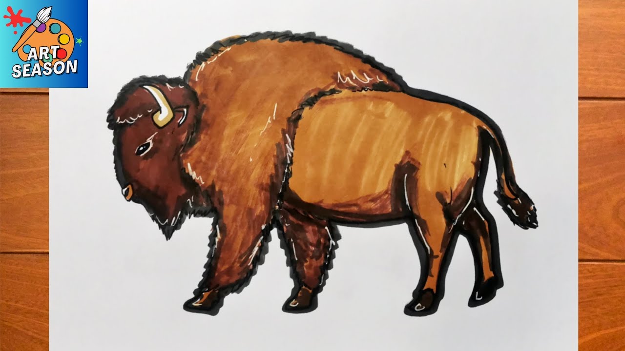 How To Draw A Bison Step By Step Youtube