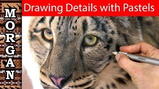Pastel Pencil Techniques: A Guide to Detailed Drawing | JasonMorgan.co.uk
