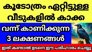 കാക്ക വീട്ടിൽ വന്ന് ഈ ലക്ഷണം കാണിച്ചാൽ കൂടോത്രം ആഭിചാര ദോഷം ഏറ്റതിന്റെ ലക്ഷണം, ഉടനെ ഈ പരിഹാരം ചെയ്യൂ