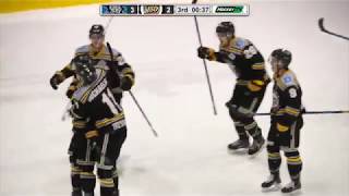 Matt Doran - Victoria Grizzlies