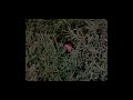 No Address, A film by Alanis Obomsawin. National Film Board of Canada