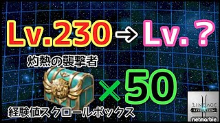 【リネレボ】灼熱の襲撃者経験値スクロールボックス@50個使用！Lv.230～どれだけ上がるのか...！？【Lineage2 Revolution】