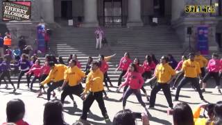 Shiamak Vancouver Dance Team - Cherry Blossom Festival 2014