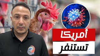 تطعيم الدجاج و خطة بمليار دولار..أمريكا تستنفر لمواجهة أزمة البيض