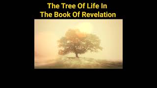 The Tree Of Life In The Book Of Revelation