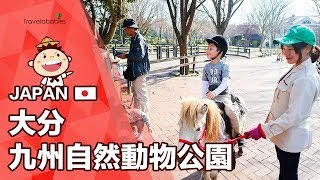 【大分九州自然動物公園】到野生動物園體驗叢林冒險🤠動物餵食讓你驚叫連連😲