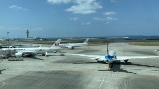 那覇空港展望デッキANA、JALライブ