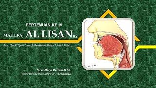 MAKHARIJUL HURUF WASHATUL & HAFATUL LISAN (TENGAH & TEPI LIDAH)