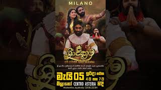 ශ්‍රී වික්‍රම - The Last King | May 5th - Milano, Italy | රන්දෝලියකගේ කදුලෙන් නැහැවුණු සිතුවම..❤️👑