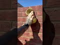 Using a sponge for brickwork