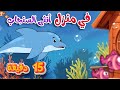 في منزل أنثى الأسماك ومجموعة من أغاني قناة أسرتنا