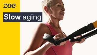 Resistance training: How to stay strong as you age | Prof. Brad Schoenfeld