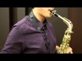 VNeck Vandoren saxophone straps