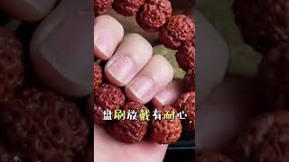 金刚菩提通用盘玩攻略