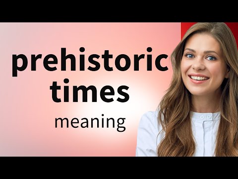 Why does the writer refer to prehistoric times?
