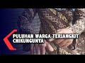 Puluhan Warga Terjangkit Chikungunya