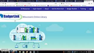 How to use Badgerlink