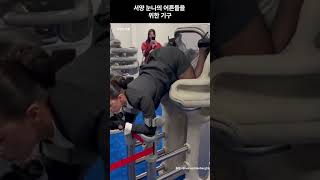 서양 누나의 어른들을 위한 기구