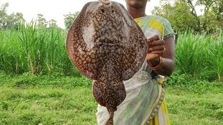 Marbled electric ray fish Recipe | Cutting \u0026 Cooking Masala Curry || Cooking Tasty Fish