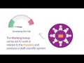 how does efsa select experts for its scientific working groups