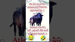 Baffello ఆవేదన#funnyjokes #like #share #subscribe 🤣🤣🤣🤣