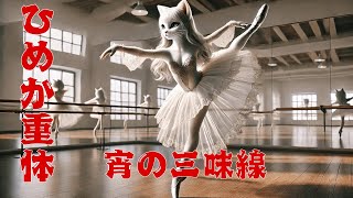 【Cat BGM】運命の瞬間—ゾーマの決断 | 感動のストーリー × 宵の三味線 🎵｜猫物語【CatMV】