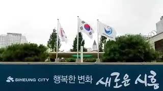 정왕4동