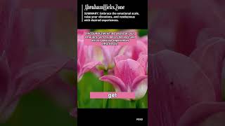 Abraham Hicks Flash: Transform Your Life in 60 Seconds