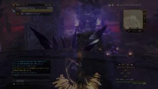 DDON  高難度黒竜ケミソロ クリア記念保存用