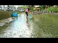 Harvesting Tilapia From Our Fishpond-Buhay Probinsya