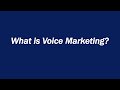 What is Voice Marketing?