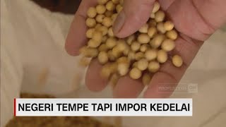 Negeri Tempe tapi Impor Kedelai