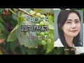 24'성경통독프로젝트 /쉬운성경/한글,영어자막/우리말성경 / 오바댜  /성경통독/ 성경읽는김배우