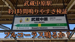 【フルコーラス鳴るか？】武蔵中原駅で約1時間鳴りやすさ検証してみた結果 第24弾